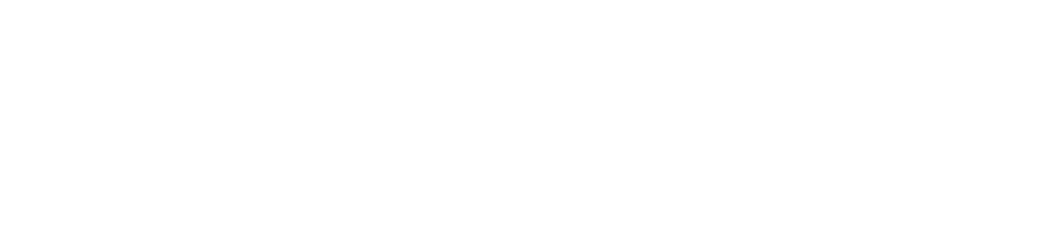 Neurosoft Bioelectronics