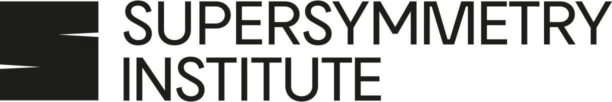 Supersymmetry Institute
